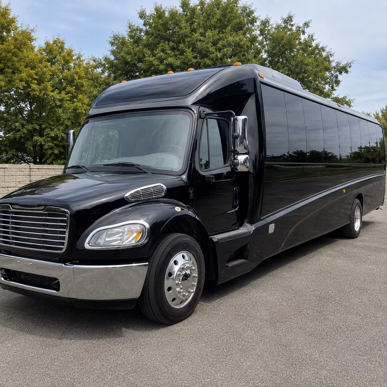 laredo 15 passenger minibus