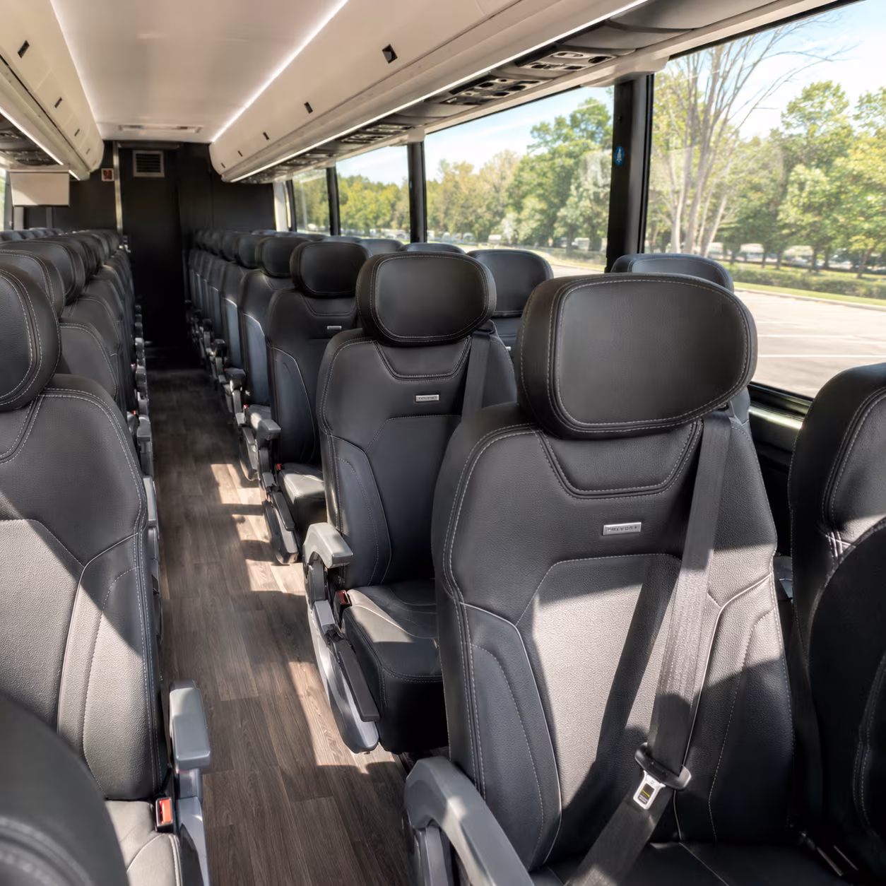 youth group and confirmation class buses in laredo